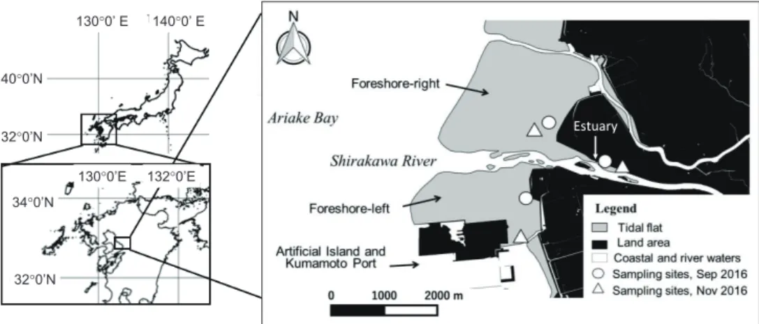 Fig. 1    Location of the study area and the sampling sites. 