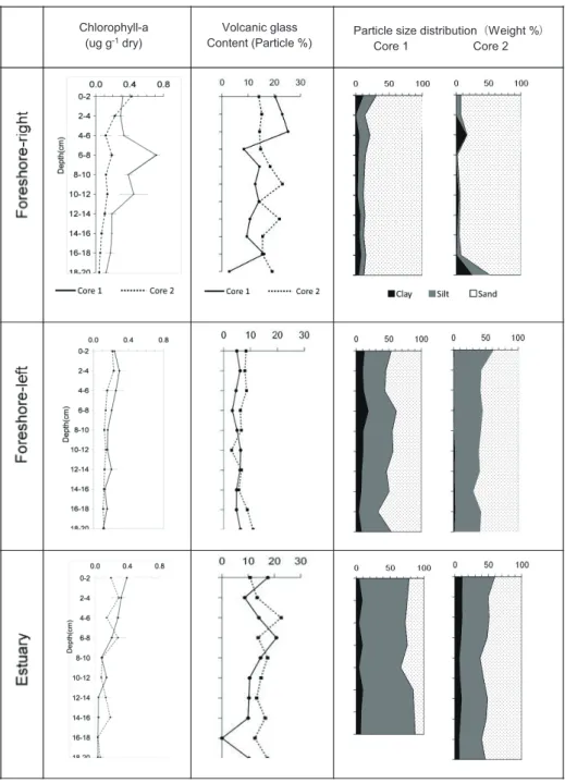 Fig. 2    Total chlorophyll a; volcanic glass content (%); and contents of sand, silt, and clay (%) in the tidal- tidal-flat sediments collected from the right foreshore, left foreshore, and estuary