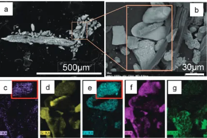 Fig. 6    Scanning electron microscope images and elemental mapping of aggregated particles from core 1 of  the  foreshore-left (6–8 cm depth)