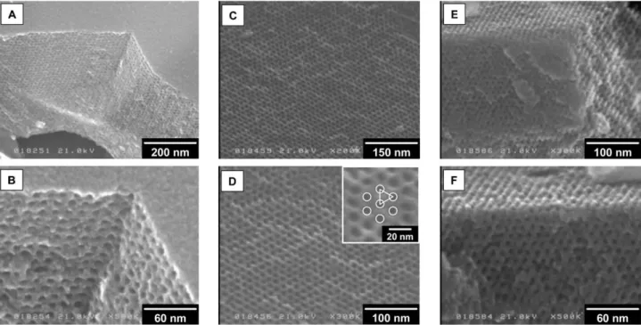 Fig. 2 FE-SEM images of carbonized COU-1. The carbonization temperatures were as follows: (A, B) 400 u C, (C, D) 600 u C and (E, F) 800 u C.