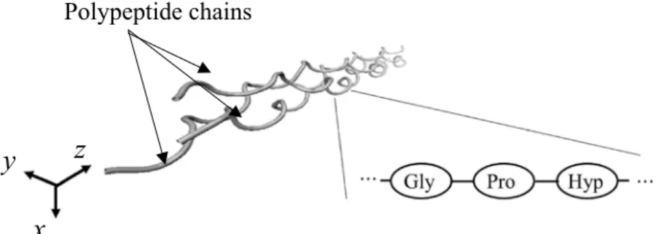 Fig.  1  All - atom modeling of TC  ( tube motif view )
