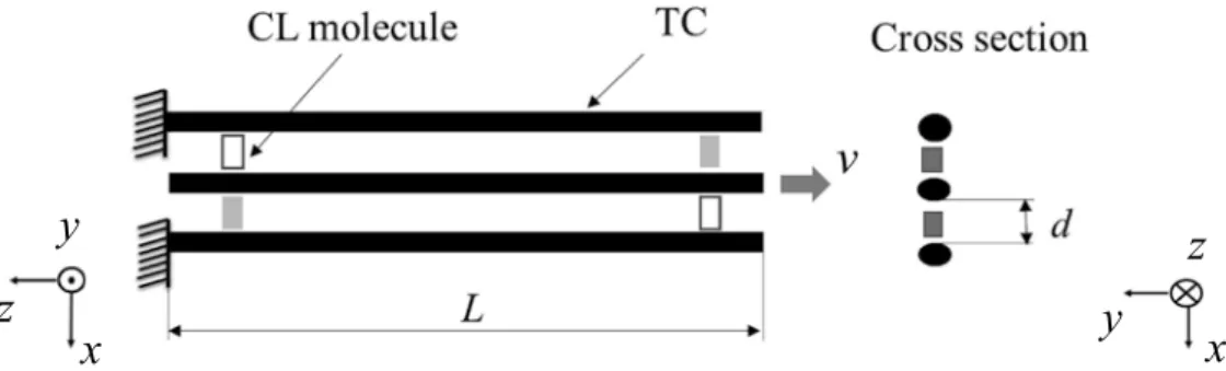 Figure  3  shows a schematic of the simulation model for tensile loading. Figure  4  shows an  actual atomic configuration in the initial state  ( before loading )  by all - atom presentation