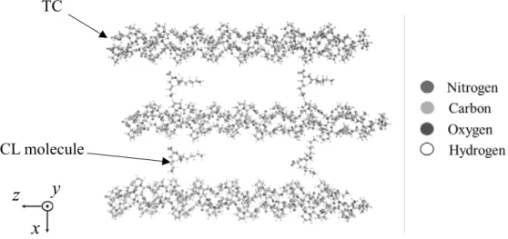 Fig. 4 Simulation model visualized by all-atom presentation