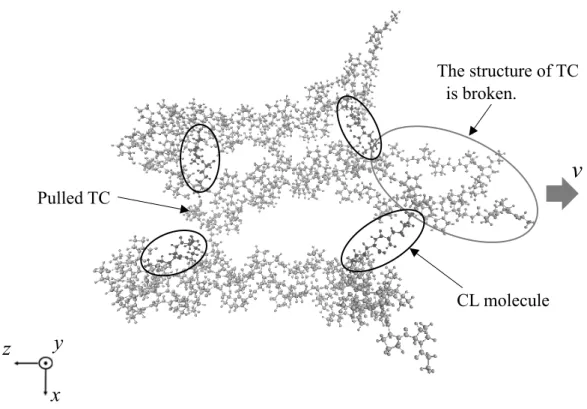 Fig.  6( c )  Snapshot obtained by tensile simulation for  3 . 0  times larger electric 　　　　 charge of hydrogen atoms in CL molecules