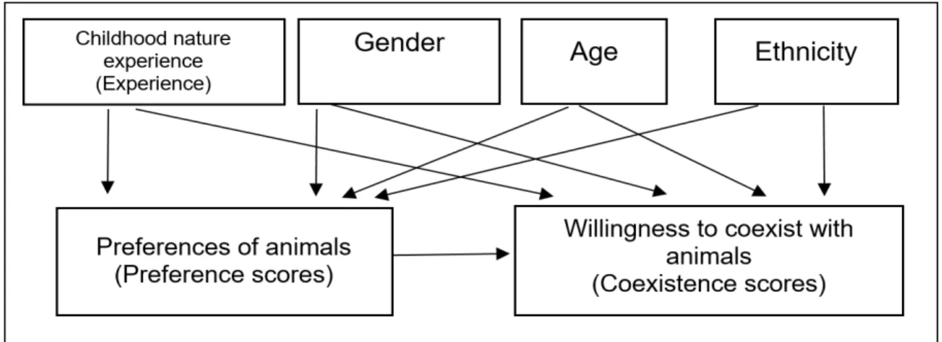 Figure  4-1.  A  hypothesized  framework  illustrating  the  relationships  among  childhood  nature  experience (Experience), sociodemographic factors (gender, age, and ethnicity), like or dislike of wild 