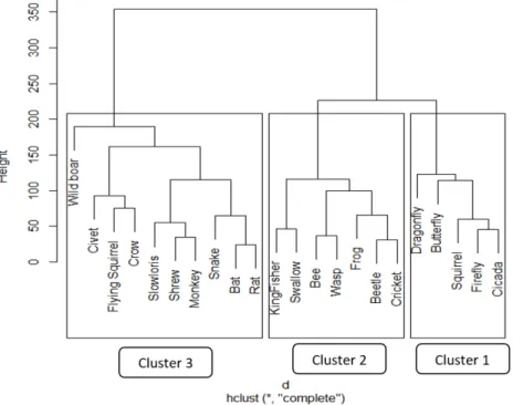 Figure 4- 3. Ward’s dendogram of hierarchical cluster analysis performed on 22 animal species