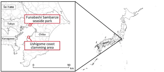 Figure 2-1    The map of Funabashi Sanbanze seaside park and Ushigome coast clamming  area