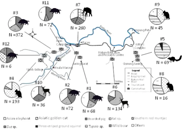 Fig. 3-2 Pie chart of the number of records for each camera trap  