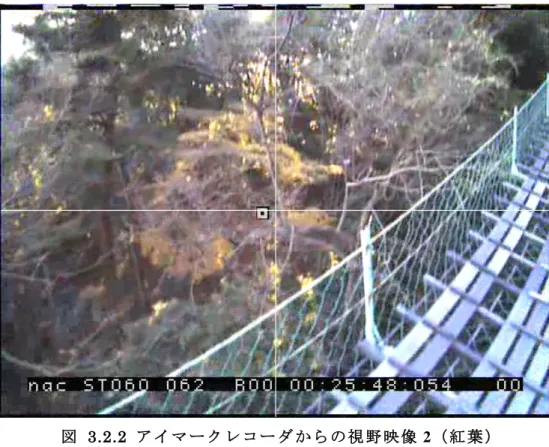図 3.2.2  ア イ マ ー ク レ コ ー ダ か ら の 視 野 映 像 2（ 紅 葉 ） 次 に ， 被 験 者 の 視 線 の 推 移 が ど の よ う に 変 化 し て い る か 経 時 変 化 を 図 3.2.3~5 と 表 3 に 示 す 。 図 3.2.3~4 の 縦 軸 ， 表 3 の 左 列 で 示 す 項 目 （「 リ フ ト 」 や 「 看 板 」 な ど ） は ， 記 述 回 答 か ら 興 味 や 関 心 を 持 っ て い た と 記 述 さ れ て い た 事 象