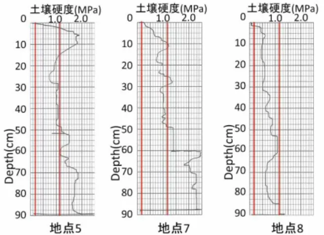 図 5   アカマツ林（エリア C ）における土壌硬度の垂 直分布   図 6 は竹林での土壌硬度の鉛直分布を示した。いず れの調査地点でも軟らかい傾向となった。斜面上部の 地点 11 では，表層 5cm 付近で硬度が大きいが，それ より深い層では軟らかな層である。しかし，土壌深 40cm より次第に硬くなり， 50cm では固結した土壌で あった。斜面中部の地点 12 では，土壌深 10cm 付近で 1.0MPa であったが， 70cm まで 1.0MPa を下回ってお り，軟らかい土壌から締まった土壌で