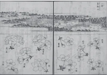 図 8  江戸上野地域の視覚史料の例 挿絵 6 （注： 1 ． 『江戸遊覧花暦』 「東都名所 上野東叡山全図」 2 ．国立国会図書館デジタルコレクションインターネット 公開資料 http://dl.ndl.go.jp/info:ndljp/pid/2536365/11 により 一部改変） 象「桜」を利用し上野地域を江戸の新たな遊覧場所と して造り上げていた。これに反して浅草地域の「桜」 は，遊女によって植えられた事実からは，江戸の代表 的な寺社地であった上野と浅草地域の異なる地域性が 推測される。 以上のよ