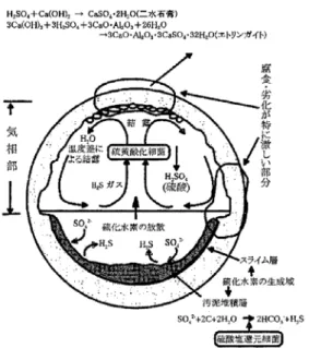 図 2.1  下水道施設に特有な硫酸によるコンクリート腐食のメカニズム 3)  「硫酸によるコンクリート腐食が発生する環境は，以下の 3 つの条件をすべて満足する 箇所である。 」 3)  「1)  溶存硫化物が生成される水質的条件  ①  下水中に硫酸イオンが存在すること  下水中の硫酸イオンは，水道水に含まれているもの，し尿中に含まれるもの，洗 剤等の化学製品や薬品類に含まれるもの等が考えられる。 」 3)  「②  下水が嫌気性条件であること  管路施設内で下水が滞留する場合や圧送管内等で溶存酸素濃度