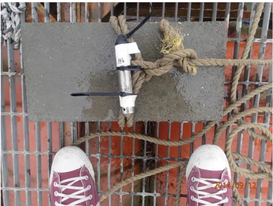 図 2-3-5  水位計（HOBO U20 Water Level Logger） 