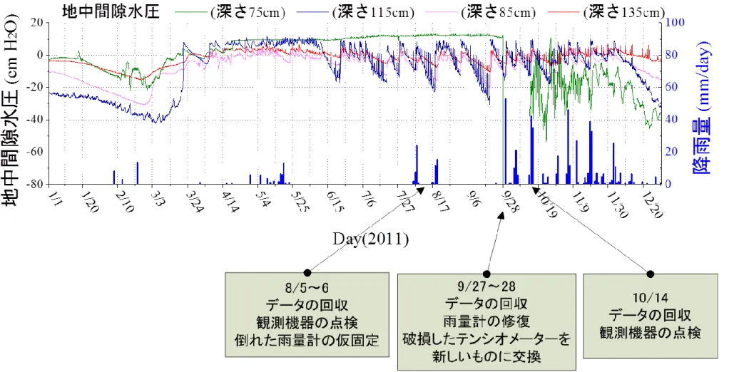 図 5.3  2011 年の地中間隙水圧及び降雨量 