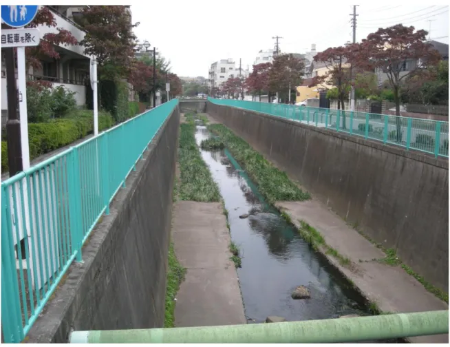 図 2-5  神田川上流域 