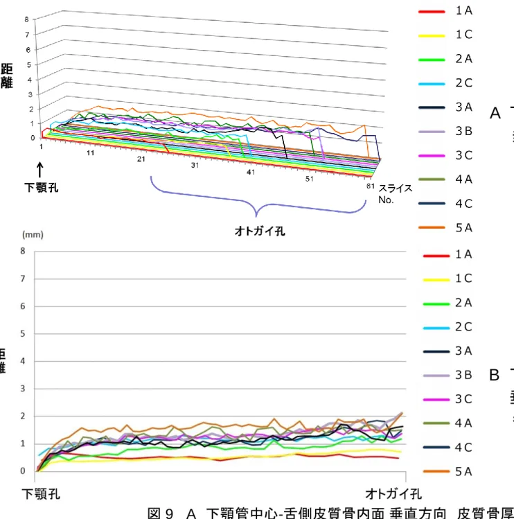図  9  A,B  A  B  A   下顎管中心 - 舌側皮質骨内面    垂直方向  皮質骨厚さ  B   下顎管中心 - 舌側皮質骨内面   垂直方向  皮質骨厚さ        各期比較 図 9   A  下顎管中心-舌側皮質骨内面 垂直方向  皮質骨厚さ           B   下顎管中心 - 舌側皮質骨内面 垂直方向  皮質骨厚さ  各期比較