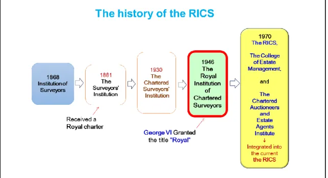 Figure 3. The developing history of the RICS 