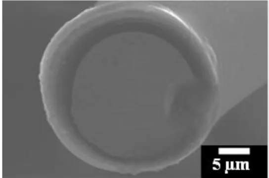 Fig. 4. The SEM image of micro current collecting probe. 
