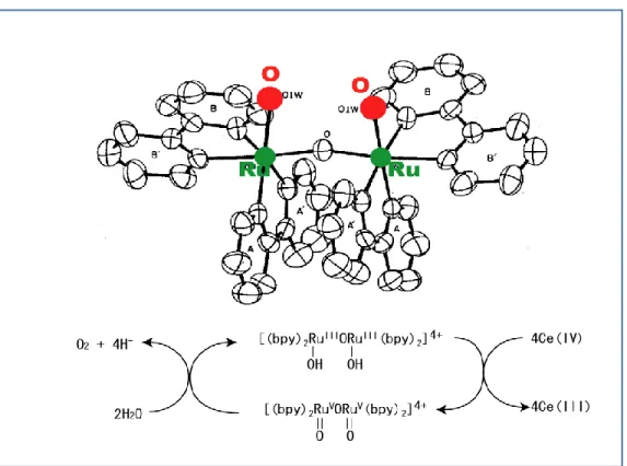 Figure 1.5b Blue dimer complex for chemical water oxidation by T. J Meyer et.al 18