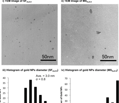 Figure 4. i) TEM image of gold NPs on the clay surface (SF Au5.9 ), ii) TEM image of  gold NPs on the clay surface (MS Au5.9 ), iii) histogram for the size of gold NPs of SF Au5.9 , 