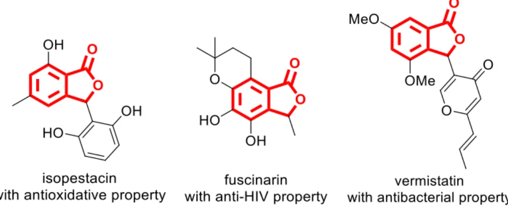 Figure 1 Phthalides containing natural and bioactive compounds
