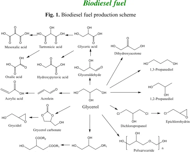 Fig. 1. Biodiesel fuel production scheme 