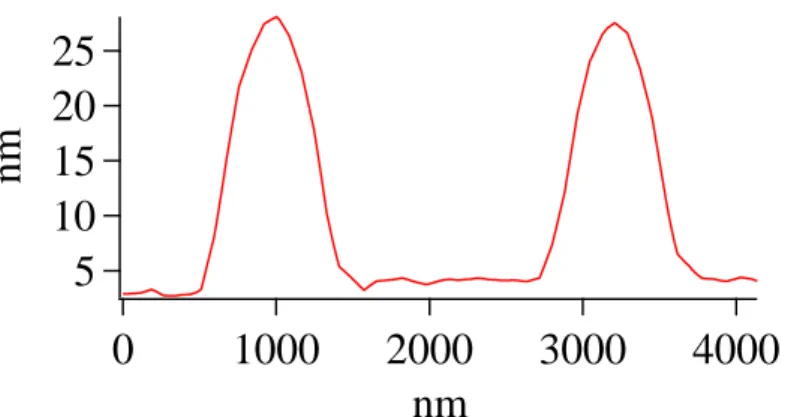 Figure 5  ２つのドメインの形状プロファイル(φNBR=0.04,3wt％トルエン溶液)  3-2 二次元 FFT  規則性の評価を 2 次元フーリエ変換画像から行う。周期的な構造が見られる画像を FFT すると、その周期に対応する波数が FFT 像では色の濃い点として表れる。  Figure 6  2 次元フーリエ変換画像  (φNBR=0.04,3wt％トルエン溶液)  Fig.6 は Fig3 の二次元 FFT 画像である。FFT 像には 3 つの正弦波に対応する 6 点が表れ ている。各点は