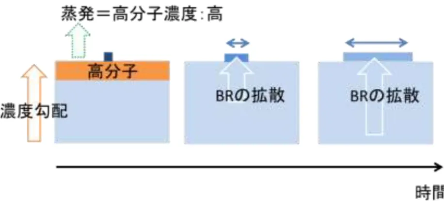 Figure 26  ドメイン直径の増加とドメイン/マトリックスの位相差の減少を説明する  予想モデル  4-4 まとめ  検討したパラメータから構造と規則性を制御できることが明らかになった。組成比の結 果から、ドメイン成分の組成比とドメインのサイズは比例関係であることが分かった。溶 媒種の結果から、ドメイン成分にとって貧溶媒を用いることで、規則性が向上することが 分かった。成長時間の結果から、成長時間とドメインのサイズは比例関係であることが分 かった。 
