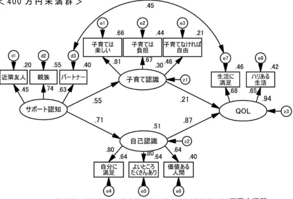 図 2 － 6   世 帯 年 収 2 群 に よ る 多 母 集 団 同 時 分 析 結 果
