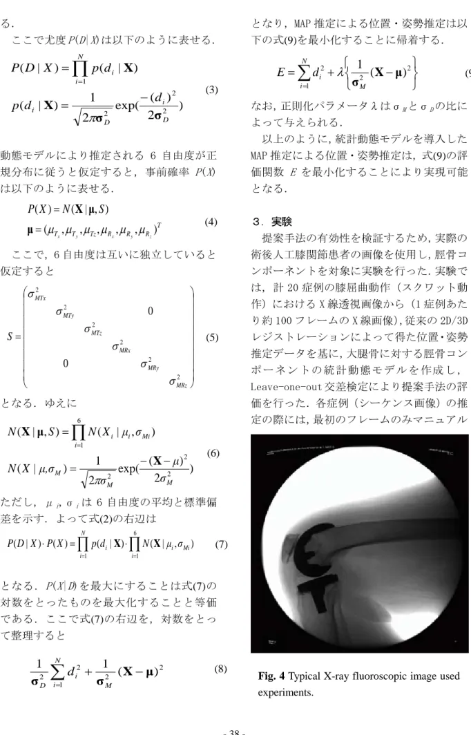 Fig. 4 Typical X-ray fluoroscopic image used  experiments. 