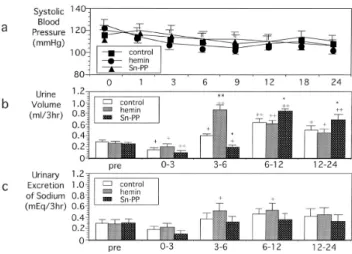 Fig.  1.(a)  Changes  in  systemic  blood  pressure  after  re-perfusion of bilateral kidney in WKY