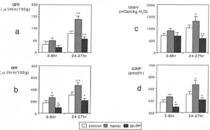 Fig.  8.  Expression  of  AQP-2  mRNA  in  the  kidney.  Lane  1  shows  pre  ischemia,  lane  2  at  3  hrs  after  re-perfusion  (control),  lane  3  at  3  hrs  after  re-perfusion  treated  with  hemin (hemin), lane 4 at 3 hrs after re-perfusion treate