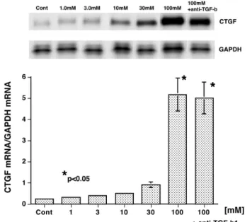 Fig. 5. Quantification of CTGF mRNA expression in mPTEC  treated with d - glucose (GLC)
