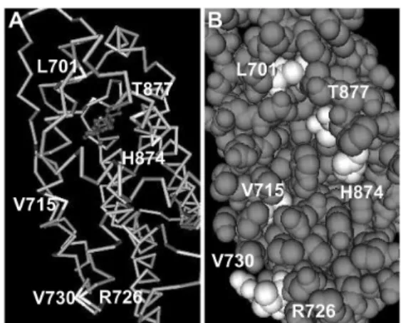 Fig. 3. The 3D structural model of AR ligand binding domain  that bound to DHT A. The locations of all mutant ARs used  in this study were indicated