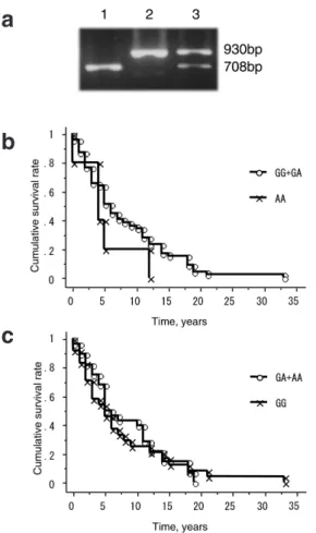 Fig. 5. CCR5 G59029A and the progression to ESRF in IgAN  patients. a. Gel patterns of CCR5 G59029A polymorphism