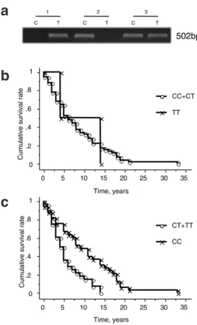 Fig.  6.  TGF-β1  C(-509)T  and  the  progression  to  ESRF  in  IgAN  patients.  a.  Gel  patterns  of  TGF-β1  C(-509)T  polymorphism