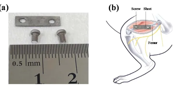 Fig. 2.11 Digital image showing implants before implantation (a); schematic diagram of cast-rolled or 