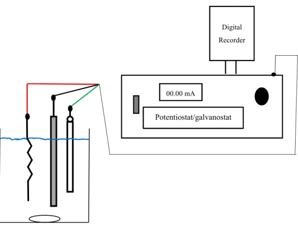 Figure  2.1.  Schematic  diagram  between  potentiostat/galvanostat  consisting  of  three  electrodes:  a  working  electrode  (black  line),  a  counter  electrode,  (red  line),  and  reference electrode (green line) which is connected with the digital 
