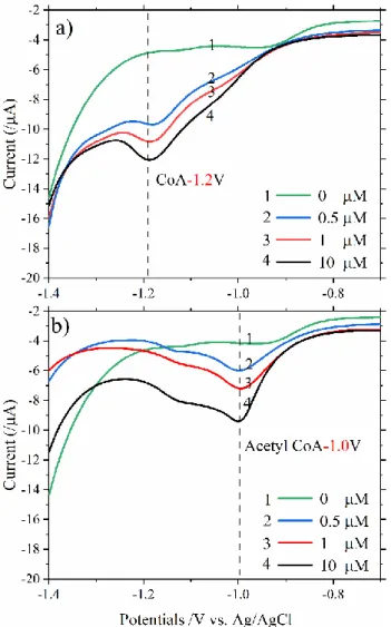 Figure 2.2. LSCSV curves of different CoA and acetyl-CoA concentrations with  a gold electrode