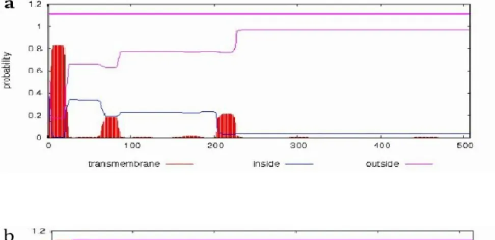 Fig. 2-8 Predicted transmembrane structure domain of STRF3’H1(a), STRF3’H2a (b),  STRF3’H2b(c), tt7(d) 