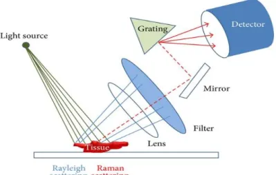 Fig. 2- 2 Schematic diagram of Raman analysis 