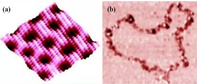 Fig. 1.2 (a) STM image of sulfate ions adsorbed on the surface of single copper crystal (111) in electrolyte; (b) A map of China using graphite processing technology to remove carbon atoms on the surface of graphite.