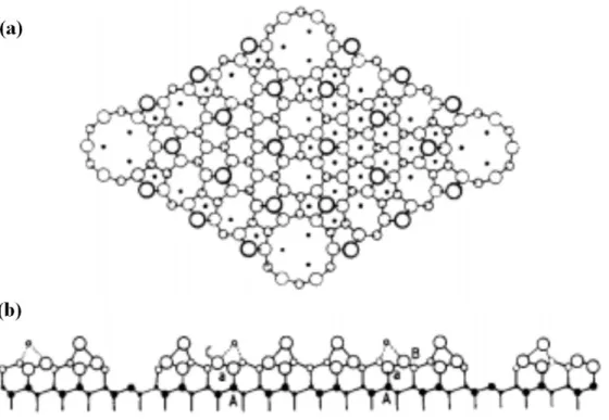 Fig. 2.1 Atomic structural model. DAS model of the Si(111)-7×7: (a) Top view and (b) Side view.