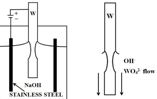 Fig. 2.6 Schematic diagram of the electrochemical corrosion and the part of W probe.