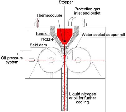 Fig. 3.2 Schematic diagram of the pilot vertical twin roll casting process