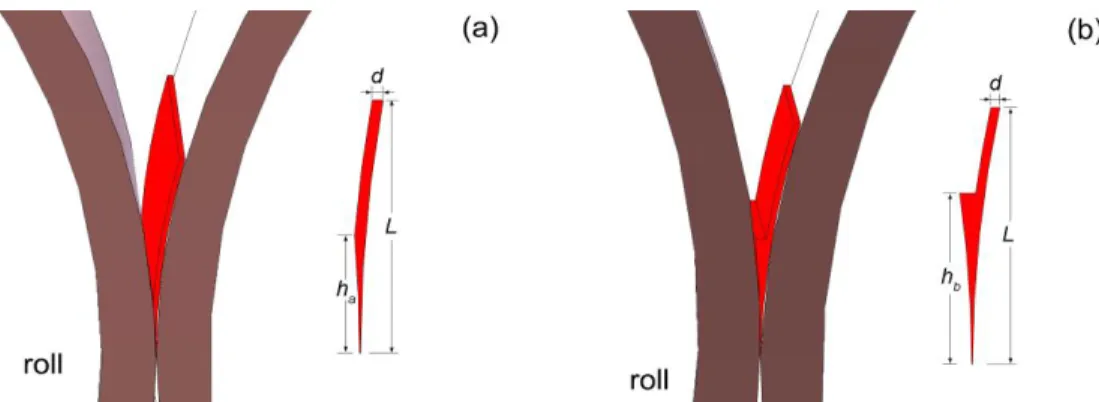 Fig. 3.4 Schematic of the molten pool of one side pouring mode: (a) h a  depends on the roll gap and d; 