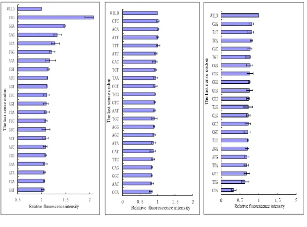 Figure 2.7 RFIs of GFP expressed by genes with insertions of    last sense codons in E