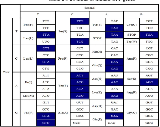 Table 2.2 The primers of 20 kinds of last sense codons 