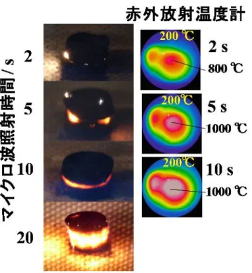 Fig. 1-1. Generation of CAMP and its temperature change.