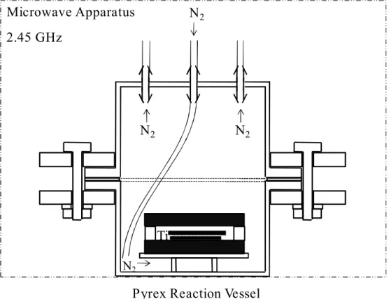 Fig. 2-1. Schematic drawing of Pyrex reaction vessel and parts.
